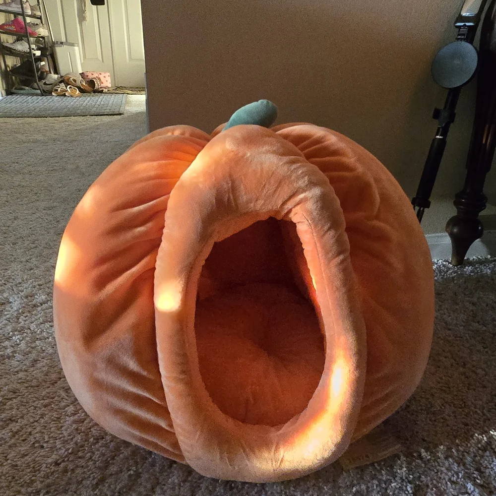 Cozy Pumpkin Pet Bed